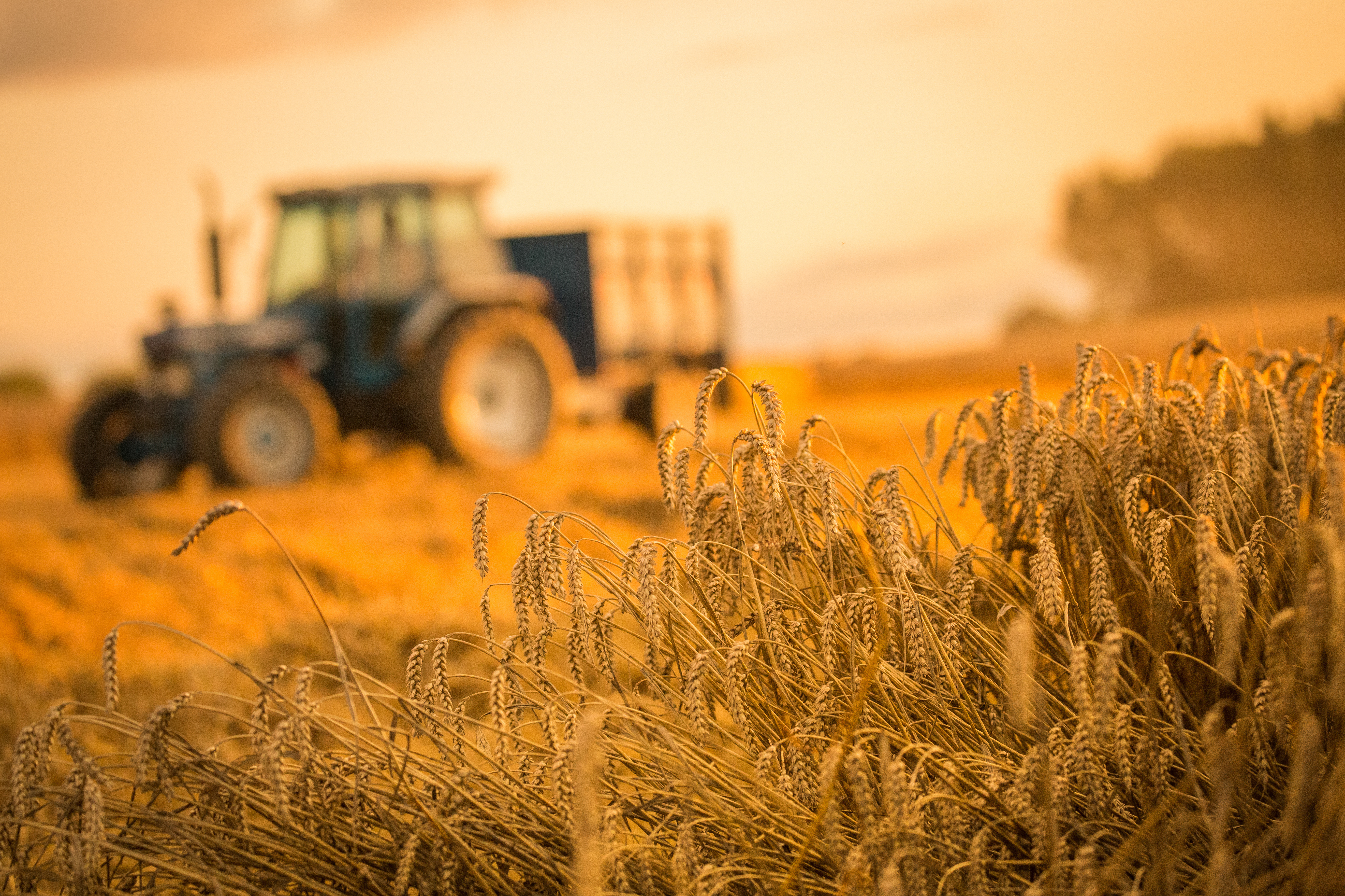 New, Used, or Leased Tractor: Which is Right for You? 1