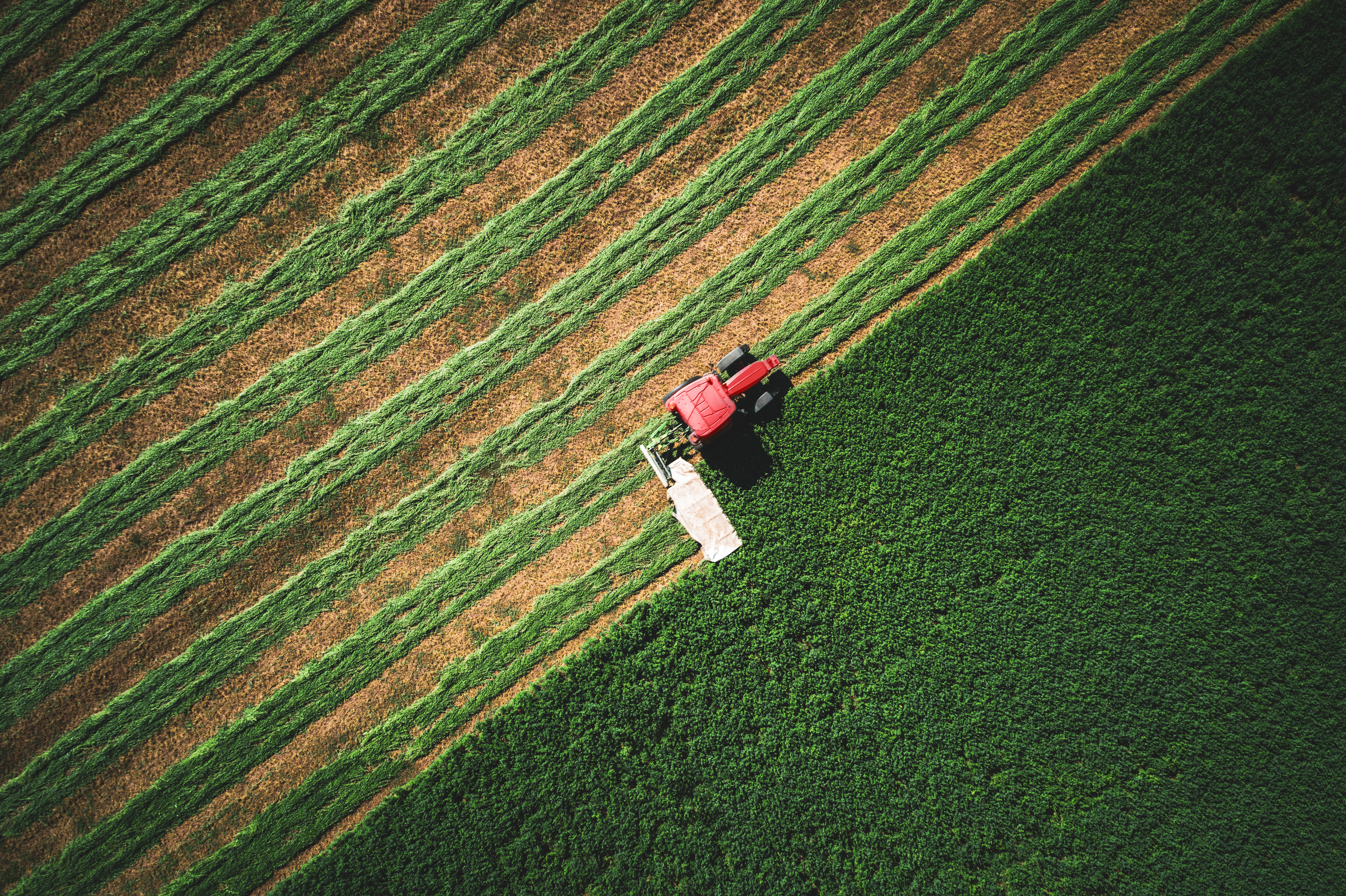 Telemetrie și Conectivitate în Utilajele Agricole 4