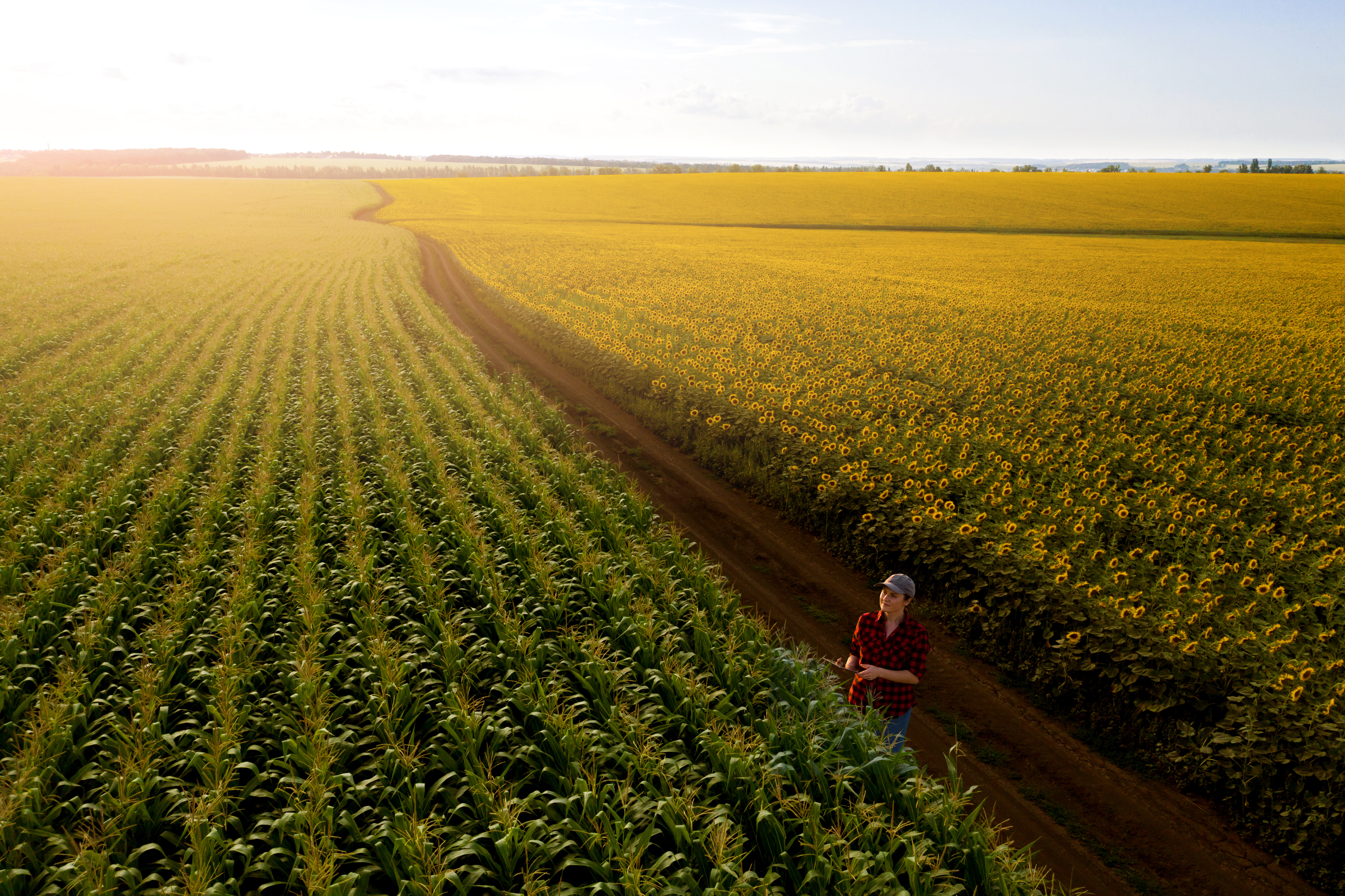 AI in Agriculture and Agri-Mechanics: An Unstoppable Revolution 2